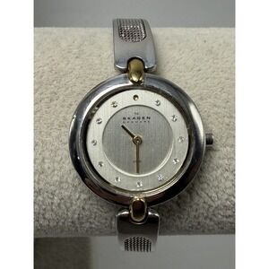 Skagen Denmark 354SGSC New Battery Ladies Watch 25MM 7.5" Mesh Band